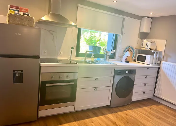 Joli T2 3* 40 M2 Avec Parking Et Terrasse アパート エクスレバン